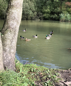 Heaton Mersey Common